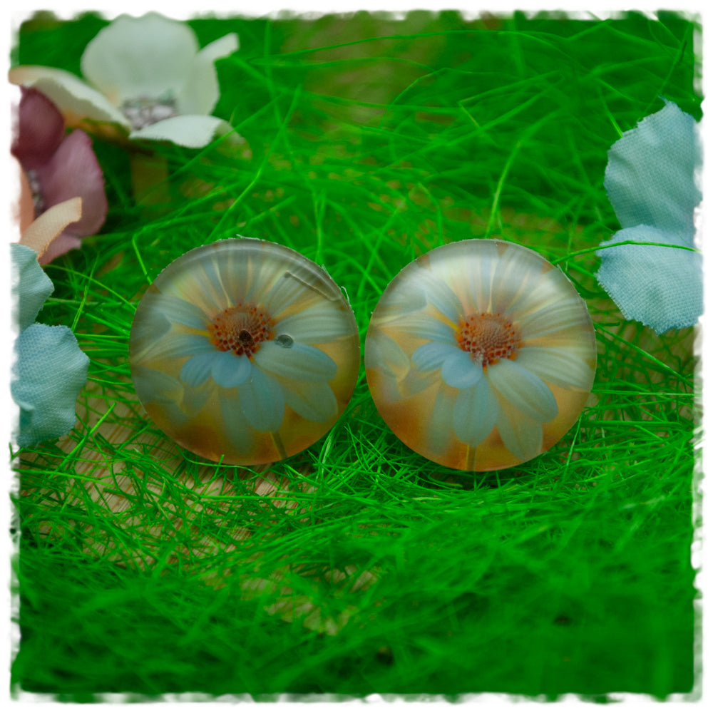 Ohrringe in 20 mm beige mit weißer Blüte