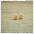 Ohrringe in 10 mm Blümchen in apricot