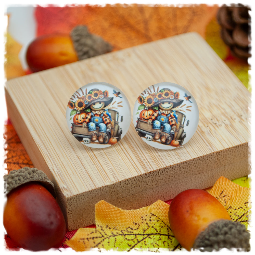 Ohrringe in 20 mm Vogelscheuche mit Pickup