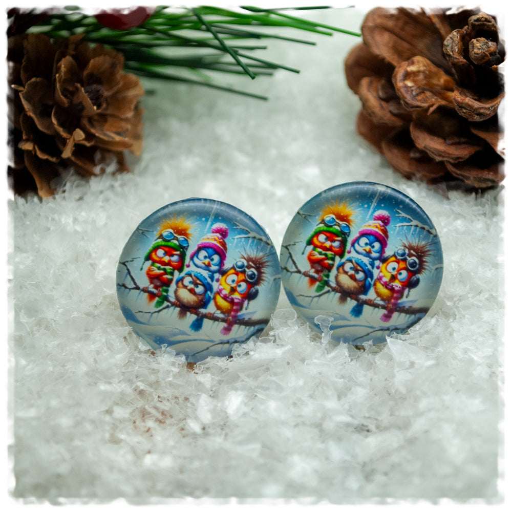 Ohrringe in 20 mm bunte Wintervögel