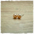 Ohrringe in 8 mm Stein apricot