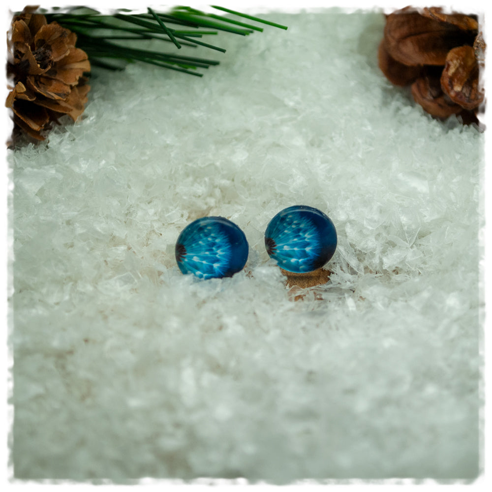 Ohrringe in 10 mm blau mit Pusteblume
