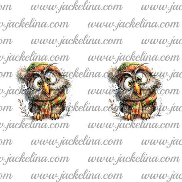 Ohrringe weiß mit Wintereule