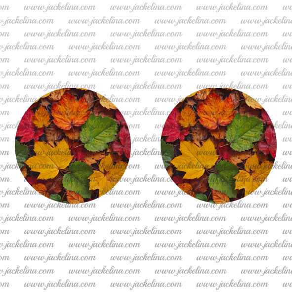 Ohrringe mit buntem Herbstlaub