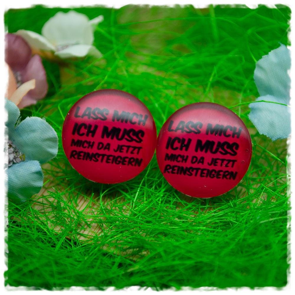 Ohrringe LASS MICH ICH MUSS MICH DA JETZT REINSTEIGERN