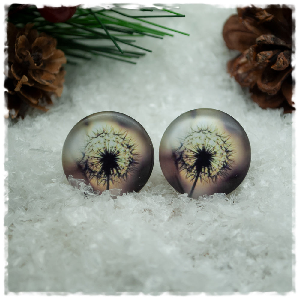 Ohrringe braun mit Pusteblume