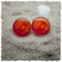 Ohrringe orange mit Palmen - Jackelina